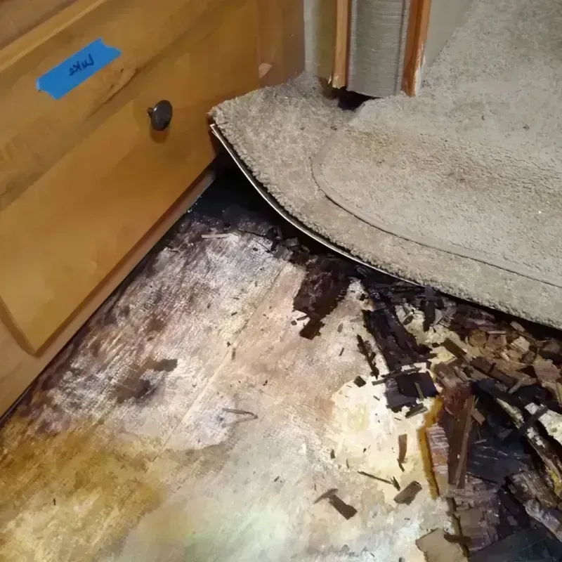 Wood Floor Water Damage in Morgan County, AL